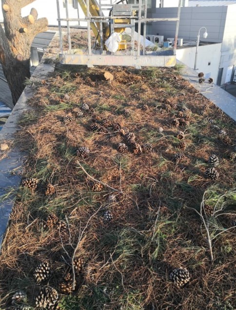 Ávila Espacios Verdes SL Trabajos Realizados