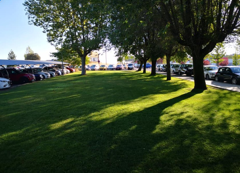 Ávila Espacios Verdes SL Trabajos Realizados