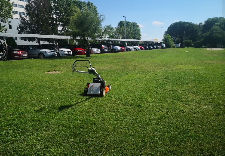 Ávila Espacios Verdes SL Trabajos Realizados