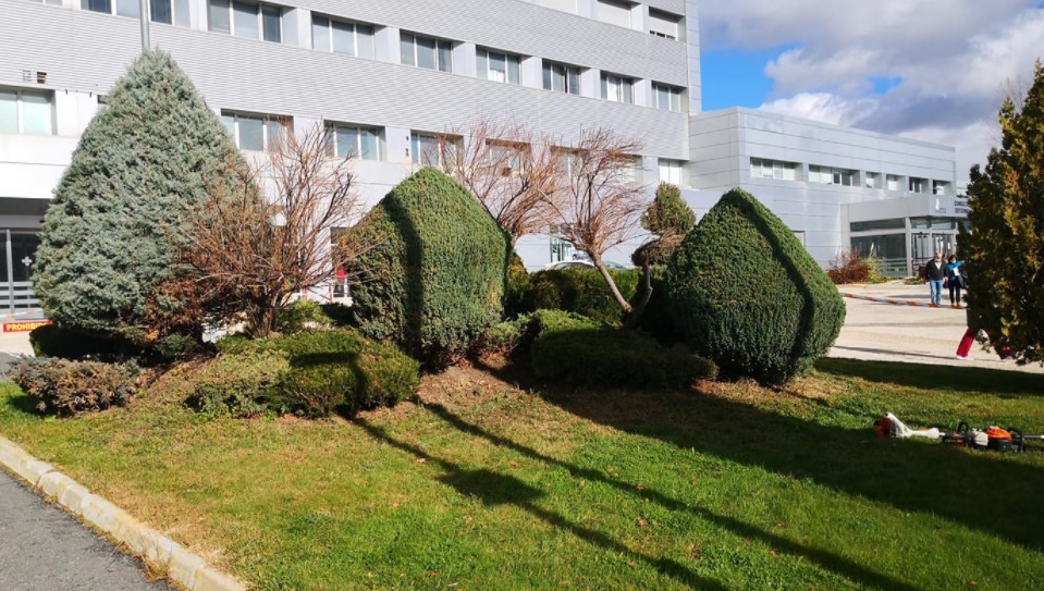 Ávila Espacios Verdes SL Trabajos Realizados