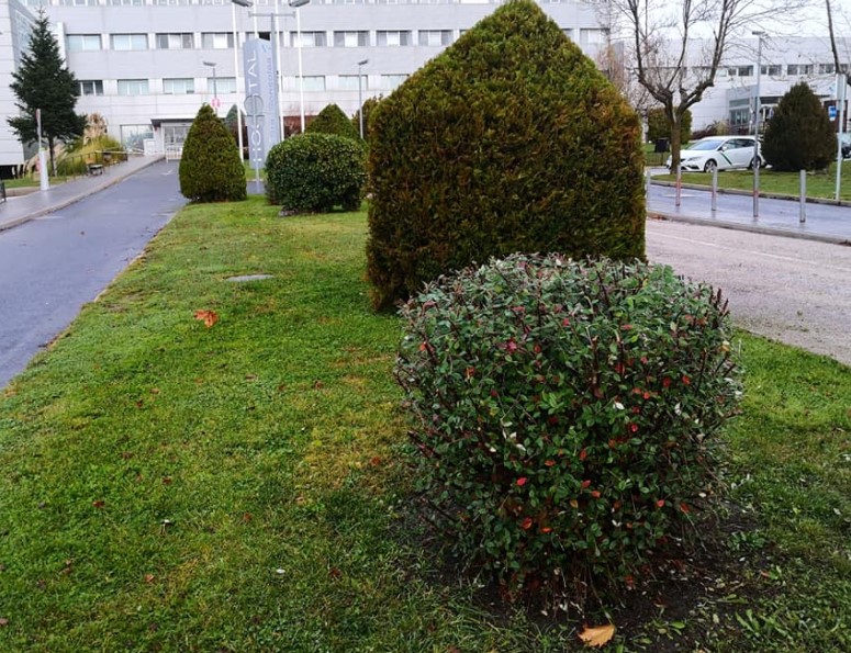 Ávila Espacios Verdes SL Trabajos Realizados