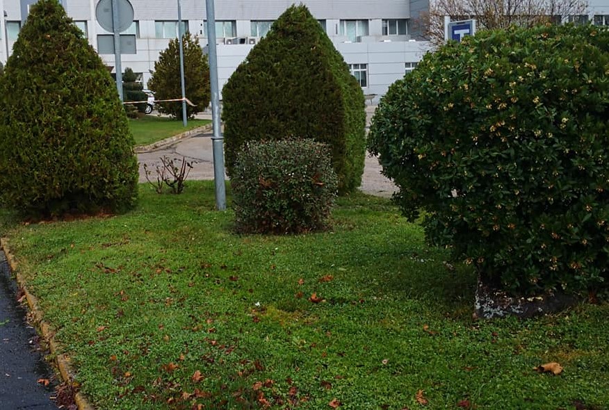 Ávila Espacios Verdes SL Trabajos Realizados