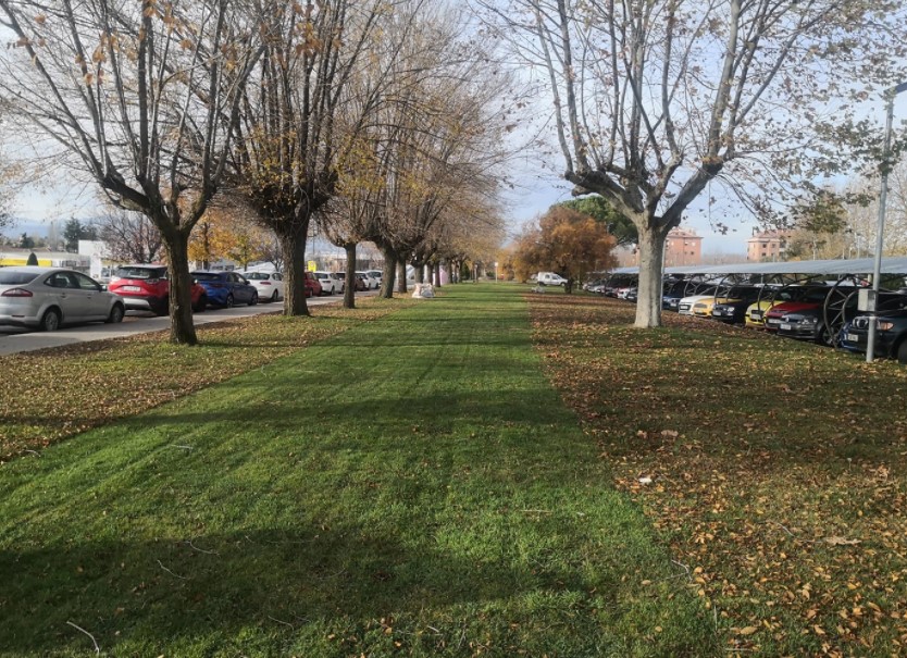 Ávila Espacios Verdes SL Trabajos Realizados